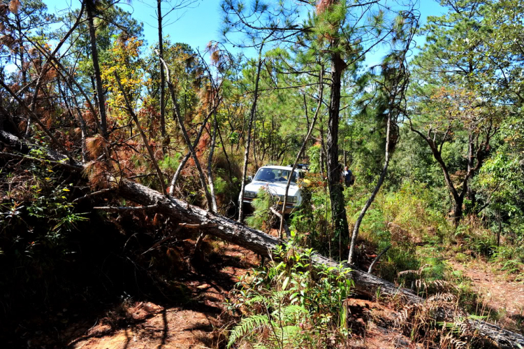 Off-Road vu vơ