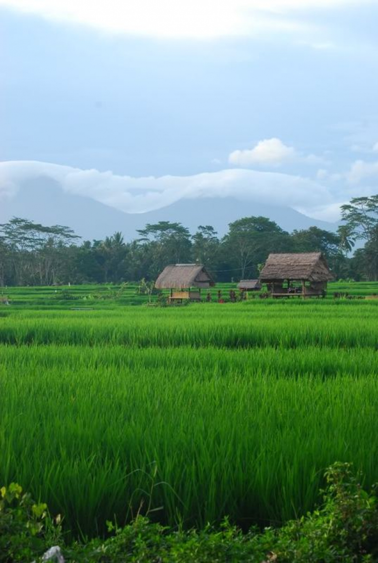 Hành trình JAKARTA-BALI