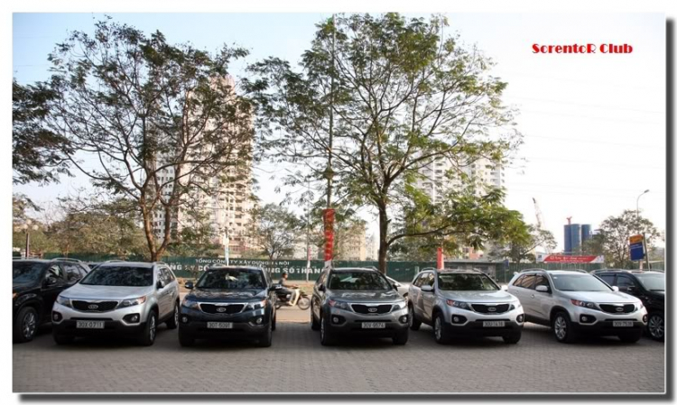 Xin tư vấn có nên mua SF Xin tư vấn có nên mua SF