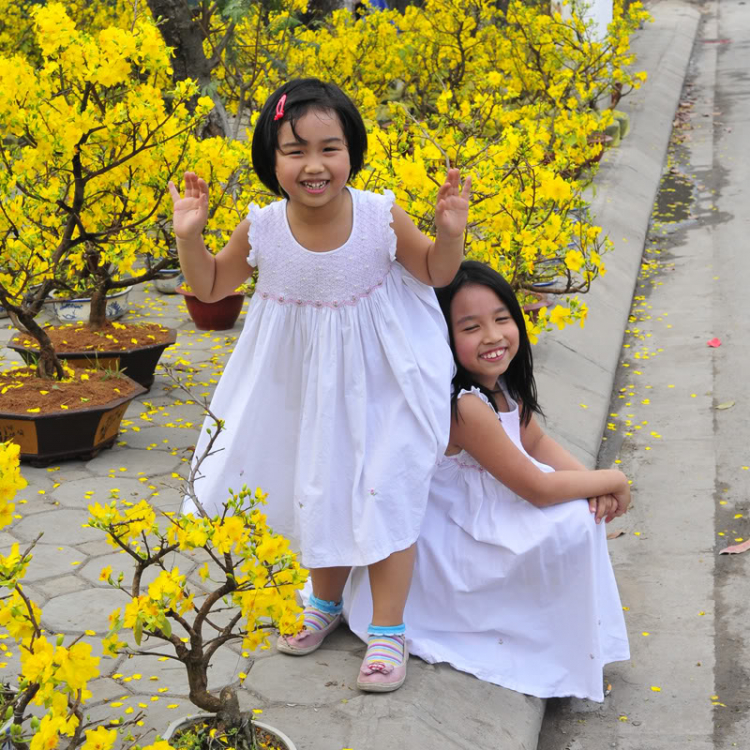 Lang thang, tản mạn ngày Tết