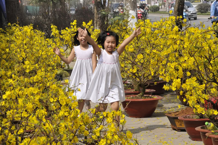 Lang thang, tản mạn ngày Tết