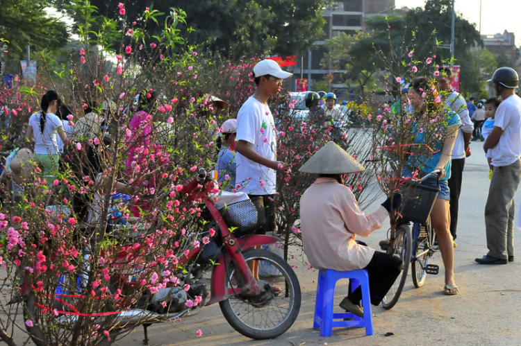 Lang thang, tản mạn ngày Tết