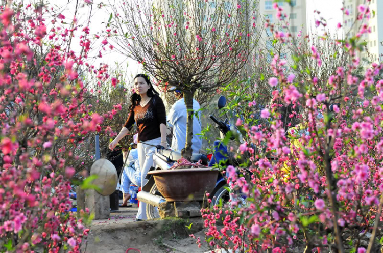 Lang thang, tản mạn ngày Tết Lang thang, tản mạn ngày Tết