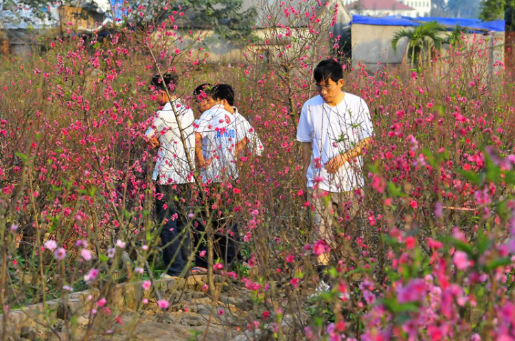 Lang thang, tản mạn ngày Tết