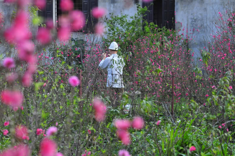 Lang thang, tản mạn ngày Tết