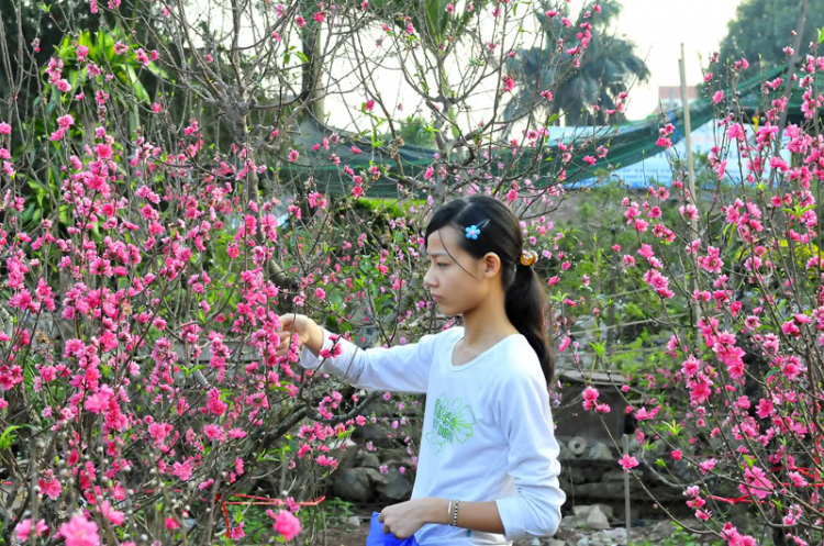 Lang thang, tản mạn ngày Tết