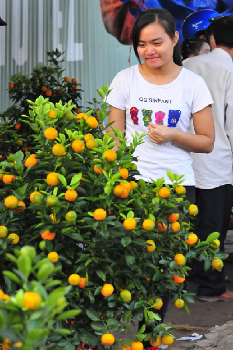 Lang thang, tản mạn ngày Tết