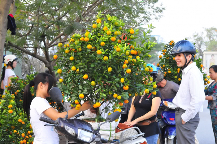 Lang thang, tản mạn ngày Tết