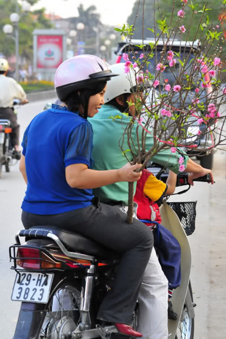 Lang thang, tản mạn ngày Tết