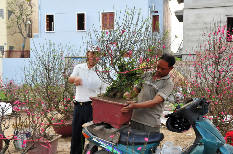 Lang thang, tản mạn ngày Tết