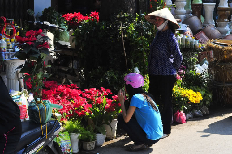 Lang thang, tản mạn ngày Tết