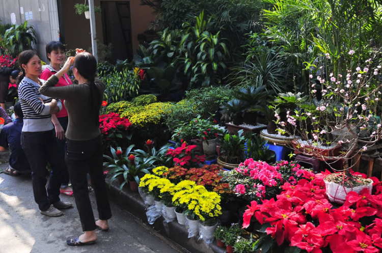 Lang thang, tản mạn ngày Tết