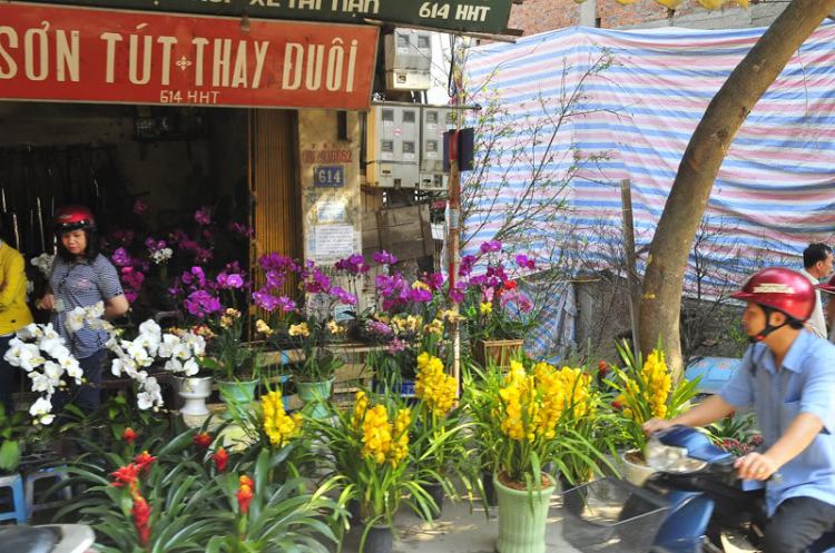 Lang thang, tản mạn ngày Tết