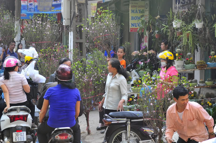 Lang thang, tản mạn ngày Tết