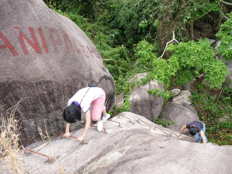 [Mùng 8 Tết AL] Đầu Năm Leo Núi: núi Dinh (BR-VT)