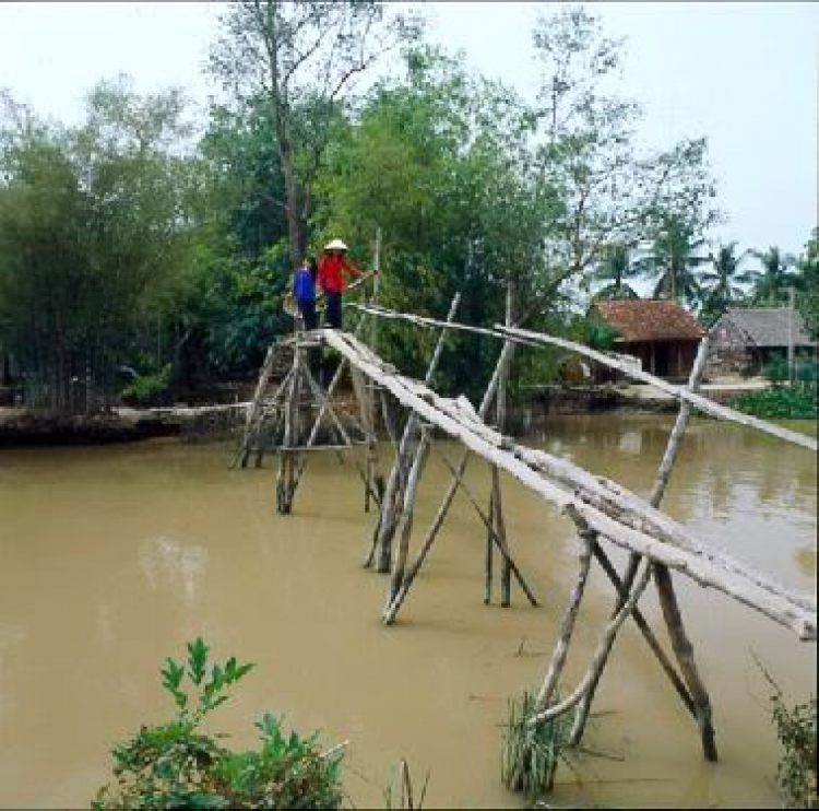 Họp mặt đầu năm con Cọp hội nhà Bim