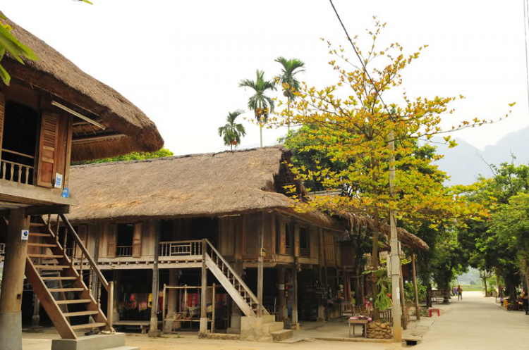 Lang thang, tản mạn ngày Tết