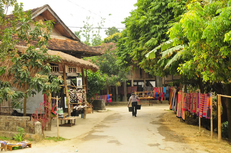 Lang thang, tản mạn ngày Tết