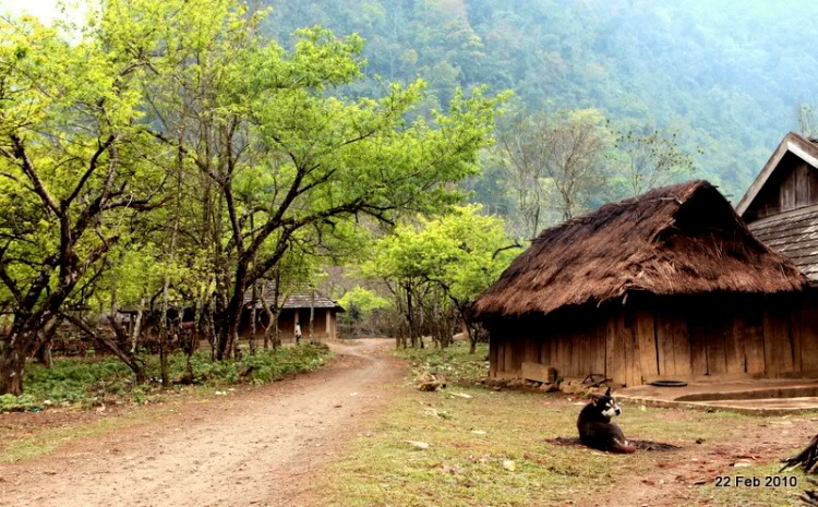 Lang thang, tản mạn ngày Tết