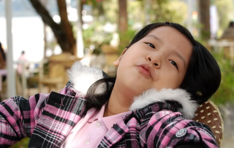 Hoa Xuân Hoa Xuân