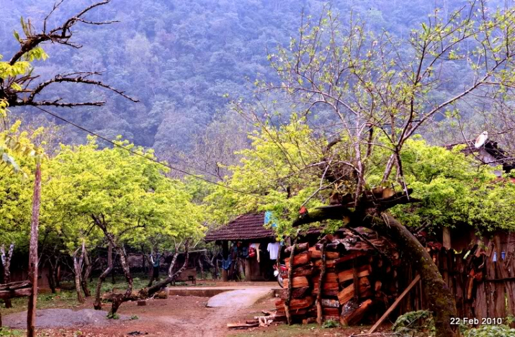 Lang thang, tản mạn ngày Tết