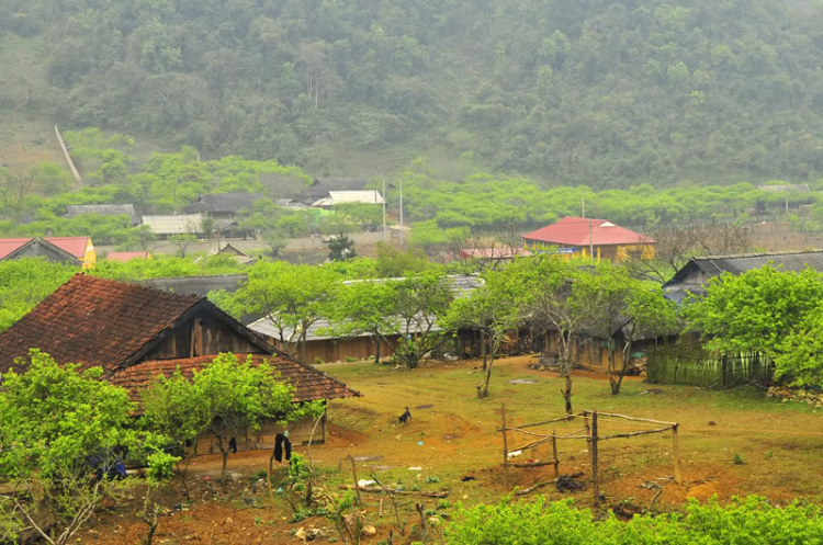 Lang thang, tản mạn ngày Tết