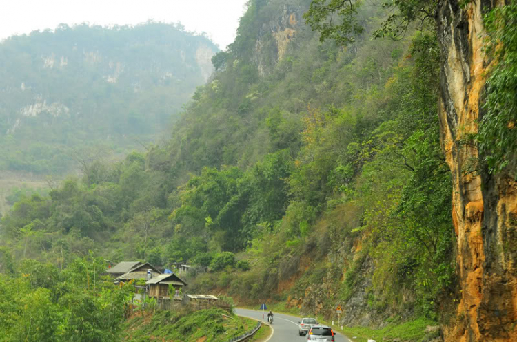 Lang thang, tản mạn ngày Tết