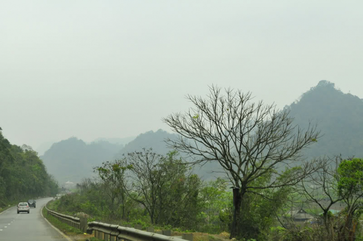 Lang thang, tản mạn ngày Tết