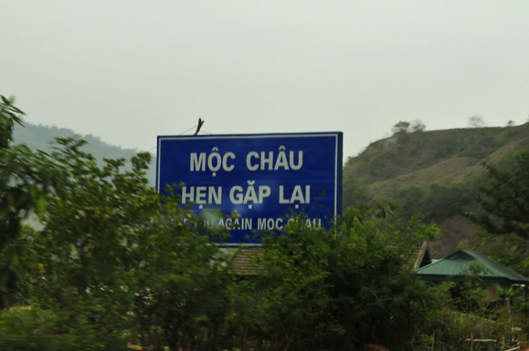 Lang thang, tản mạn ngày Tết