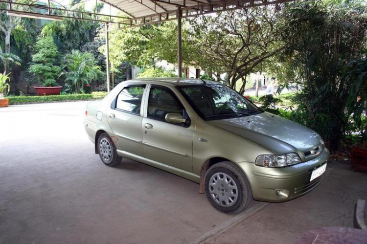 HCM-cần mua gấp Fiat Siena hoặc albea