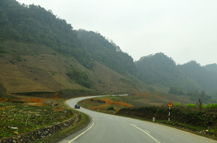 Lang thang, tản mạn ngày Tết