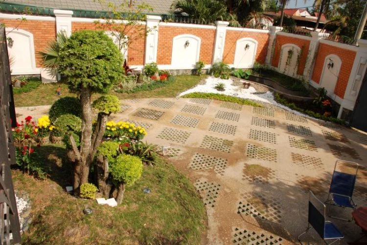 Hoa Xuân Hoa Xuân