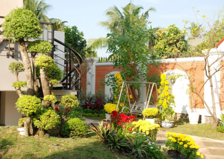 Hoa Xuân Hoa Xuân