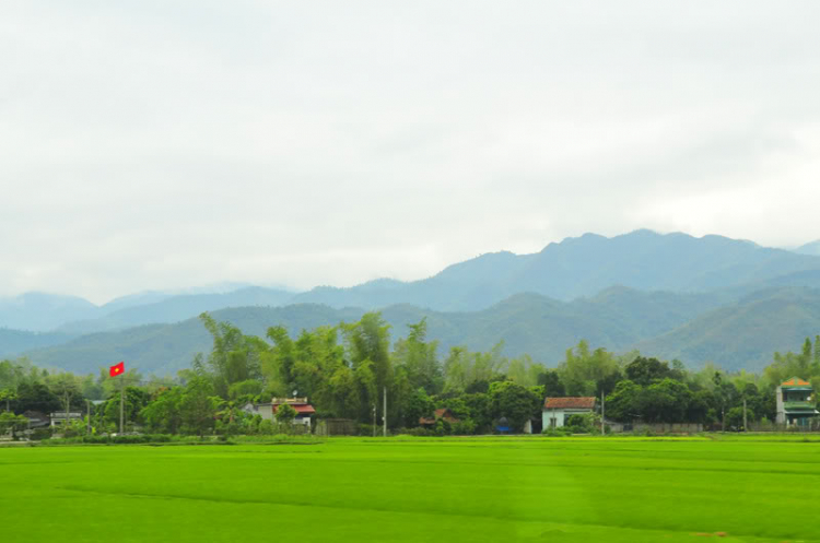 Lang thang, tản mạn ngày Tết