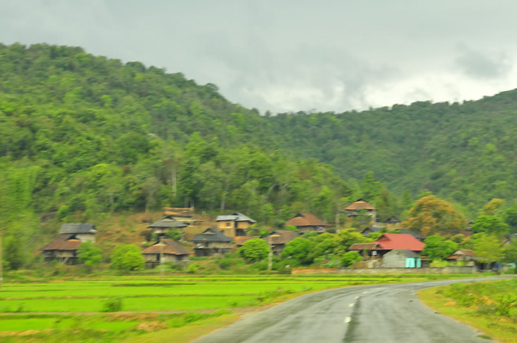 Lang thang, tản mạn ngày Tết