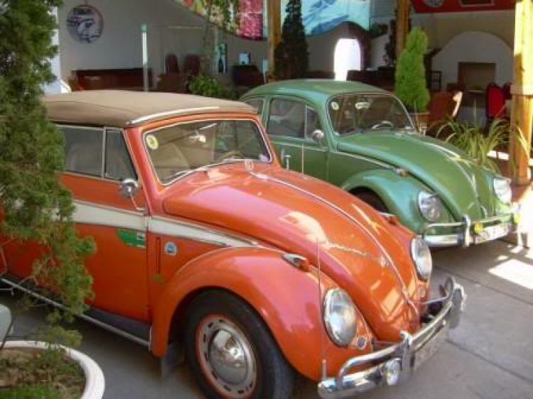 Volkswagen lang thang xứ sưong mù