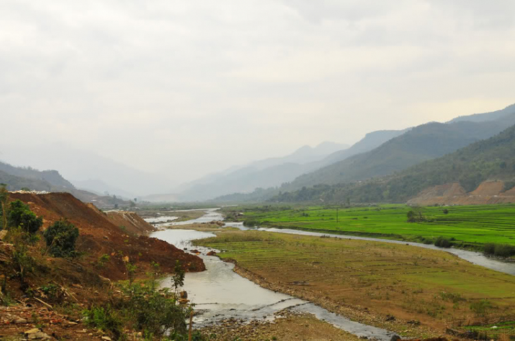 Lang thang, tản mạn ngày Tết