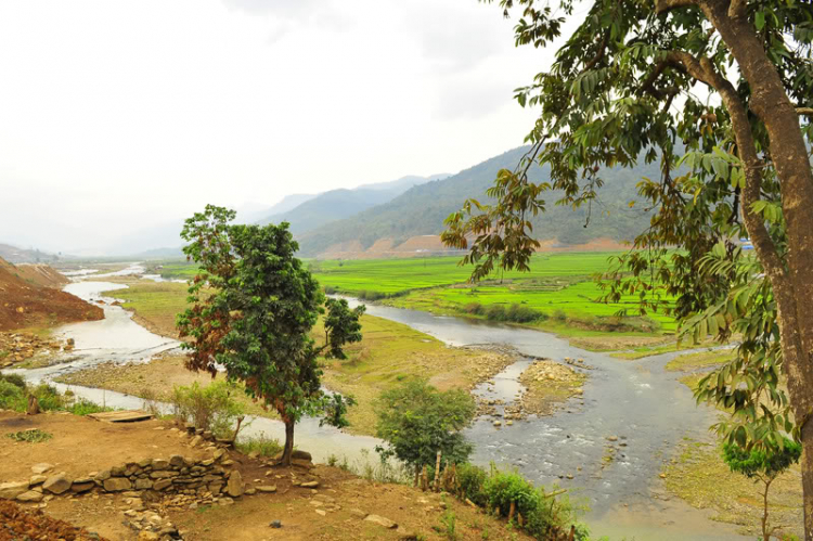 Lang thang, tản mạn ngày Tết