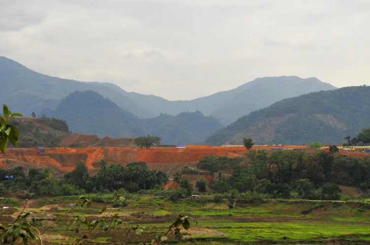 Lang thang, tản mạn ngày Tết