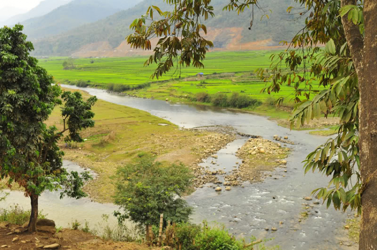 Lang thang, tản mạn ngày Tết