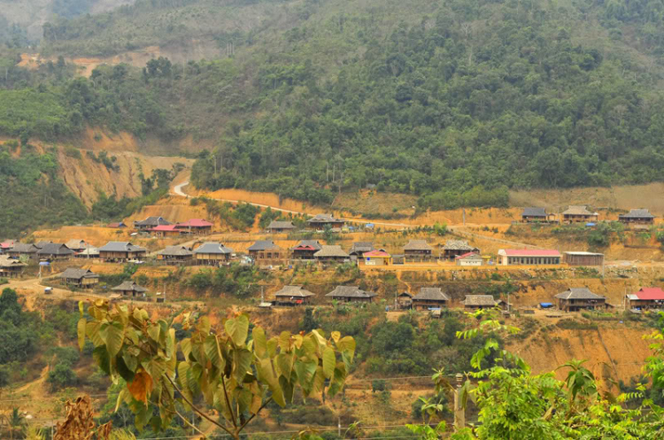 Lang thang, tản mạn ngày Tết