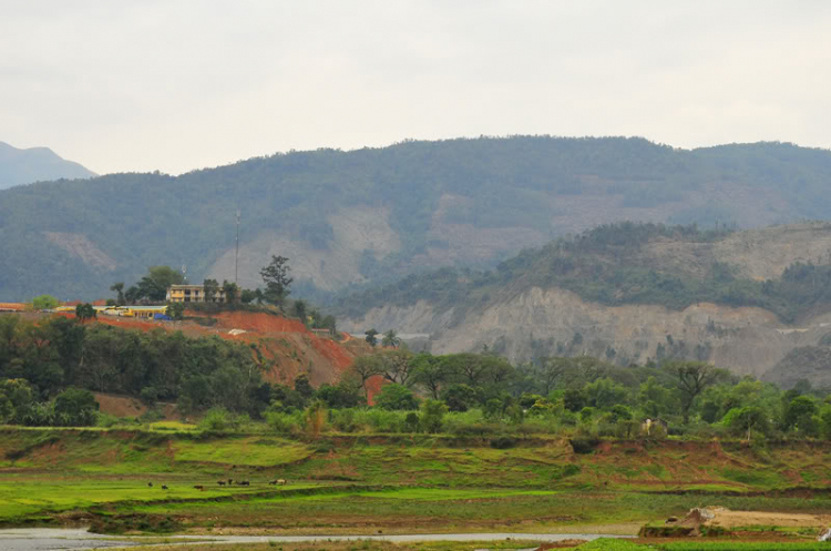 Lang thang, tản mạn ngày Tết