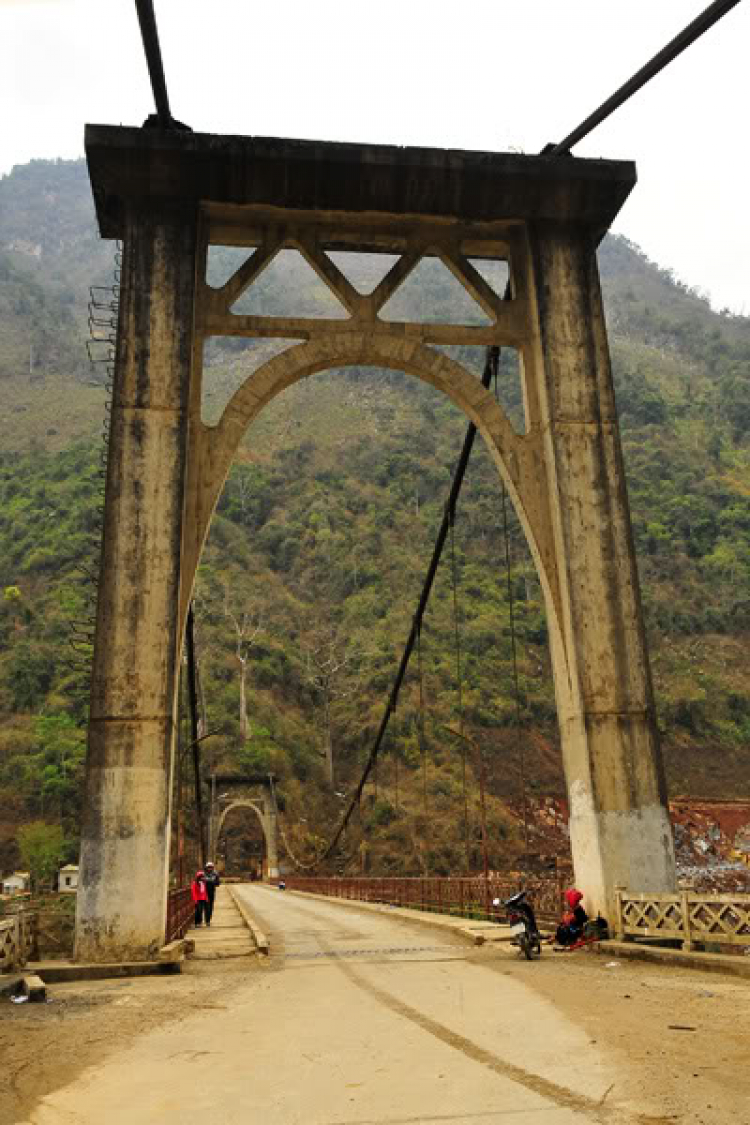 Lang thang, tản mạn ngày Tết