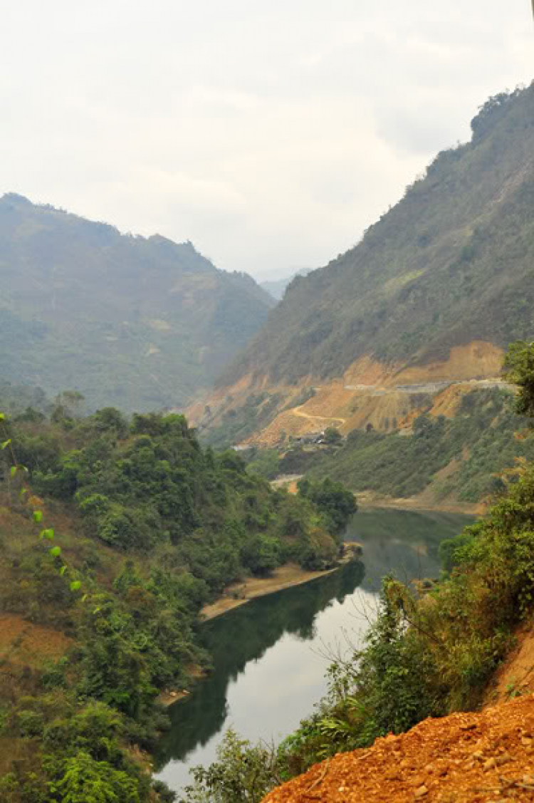 Lang thang, tản mạn ngày Tết