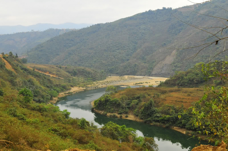 Lang thang, tản mạn ngày Tết