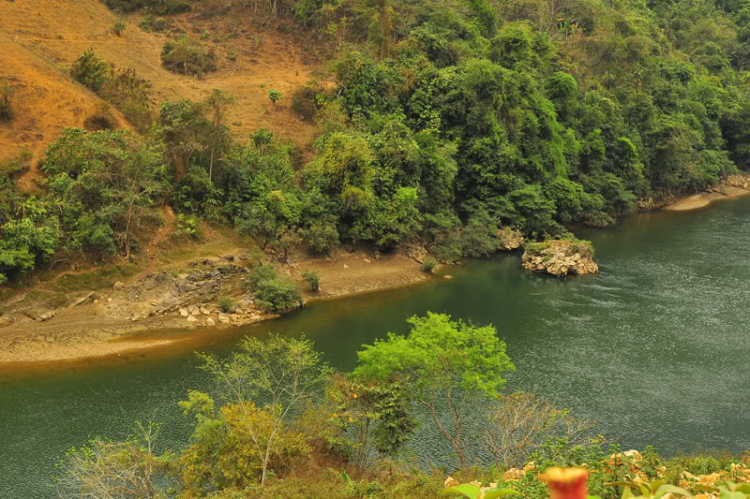 Lang thang, tản mạn ngày Tết