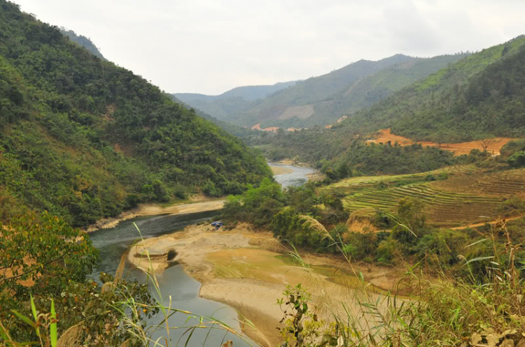 Lang thang, tản mạn ngày Tết