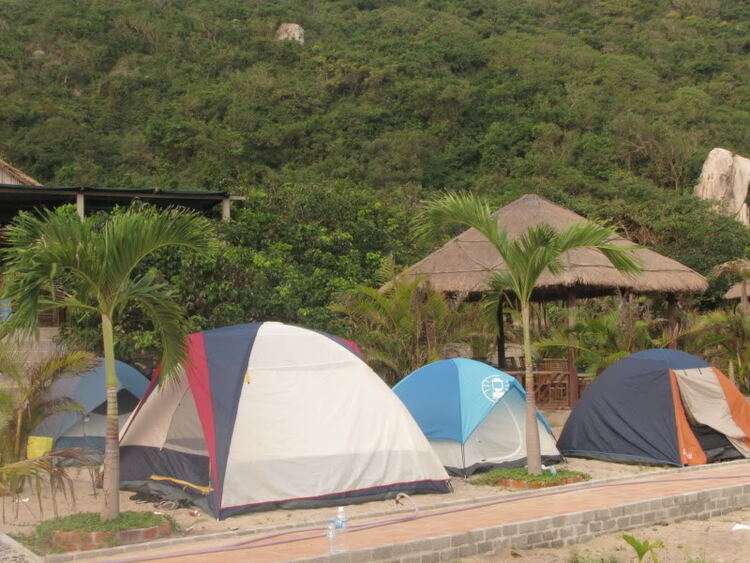 Phòng trưng bày của CLB Câu Cá - Dã ngoại - OS Fishing Club Phòng trưng bày của CLB Câu Cá - Dã ngoại - OS Fishing Club