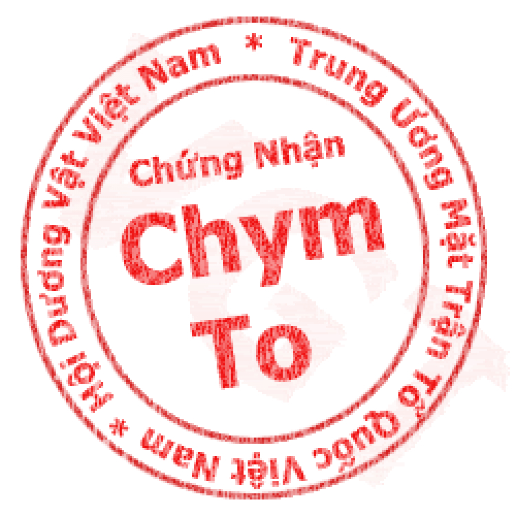 Thiết kế Logo cho hội BIM