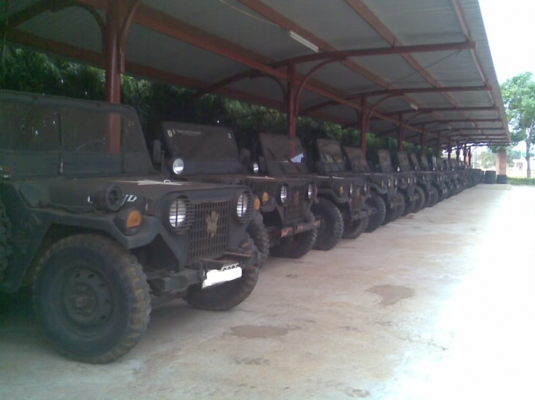 bộ sưu tập Jeep! bộ sưu tập Jeep!